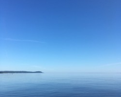 ‘Nature is my best friend. Always has been and always will be. I grew up spending most of my life outdoors exploring, with no mobile phones,m and instructions to just ‘come home before it gets dark’. Connecting with nature is my therapy, and the ocean is where I find my calm and inner peace. This is where I can reflect, put things in perspective, and where I can reconnect with myself, and it allows me to stop, take a breath, and re-evaluate what really matters.’- Cecilia Tjornby Therapy Services Coordinator