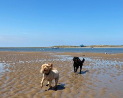 "Being outdoors with the dogs, preferably near the water, recharges me; even cycling into hospital helps me to lose the stress of the day."
- Dr James Arkell
consultant psychiatrist
