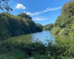 "Nature makes me feel a part of something beautiful and alive; a real antidote for when I feel lonely and consumed by my own troubles."
- Dr Rakhi Oyewole
Nightingale Hospital Consultant Psychiatrist