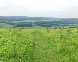 "Hiking in the countryside allows me to feel the movement of fresh air on my skin, the earth under my feet and the sound of birdsong filling my ears and heart. I walk with a clear mind without the daily work/home stresses, and of course there is the valuable exercise hiking provides.Nothing is more beautiful than nature just doing its thing." - Keith Bateman, IT Manager