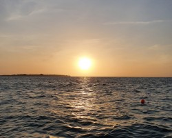 “Nature does not hurry, yet everything is accomplished” — Lao Tzu
Finding peace in nature helps me slow down and calm my mind, allowing me to be more present.
- Maria Garcia, Therapy Services Manager