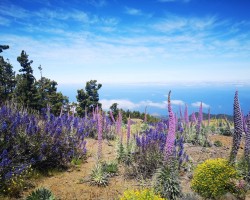 "Nature to me is such an important opportunity to connect with the world and myself, to get a sense of perspective and to get away from pressures of day-to-day life."
- Submitted by Richard Turrell, Addictions therapist