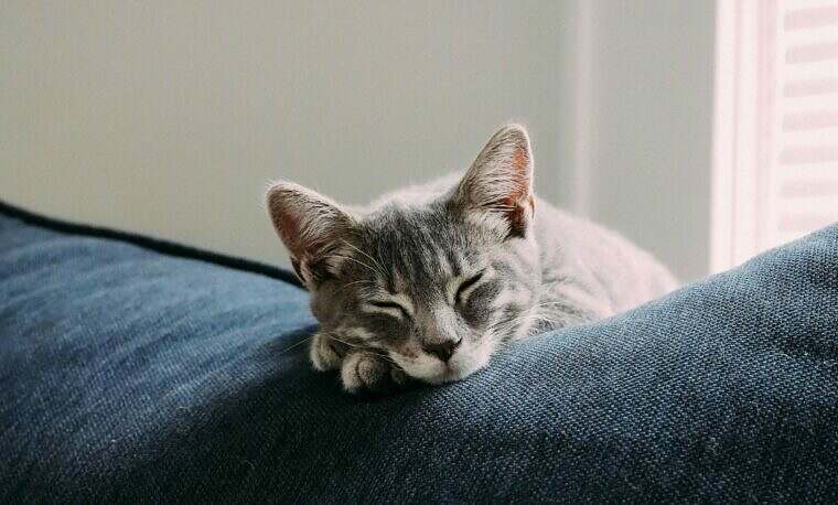 How to sleep well